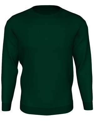 Woodbank Sweatshirt - Bottle Green (Yrs 1 - 6 Winter Only)